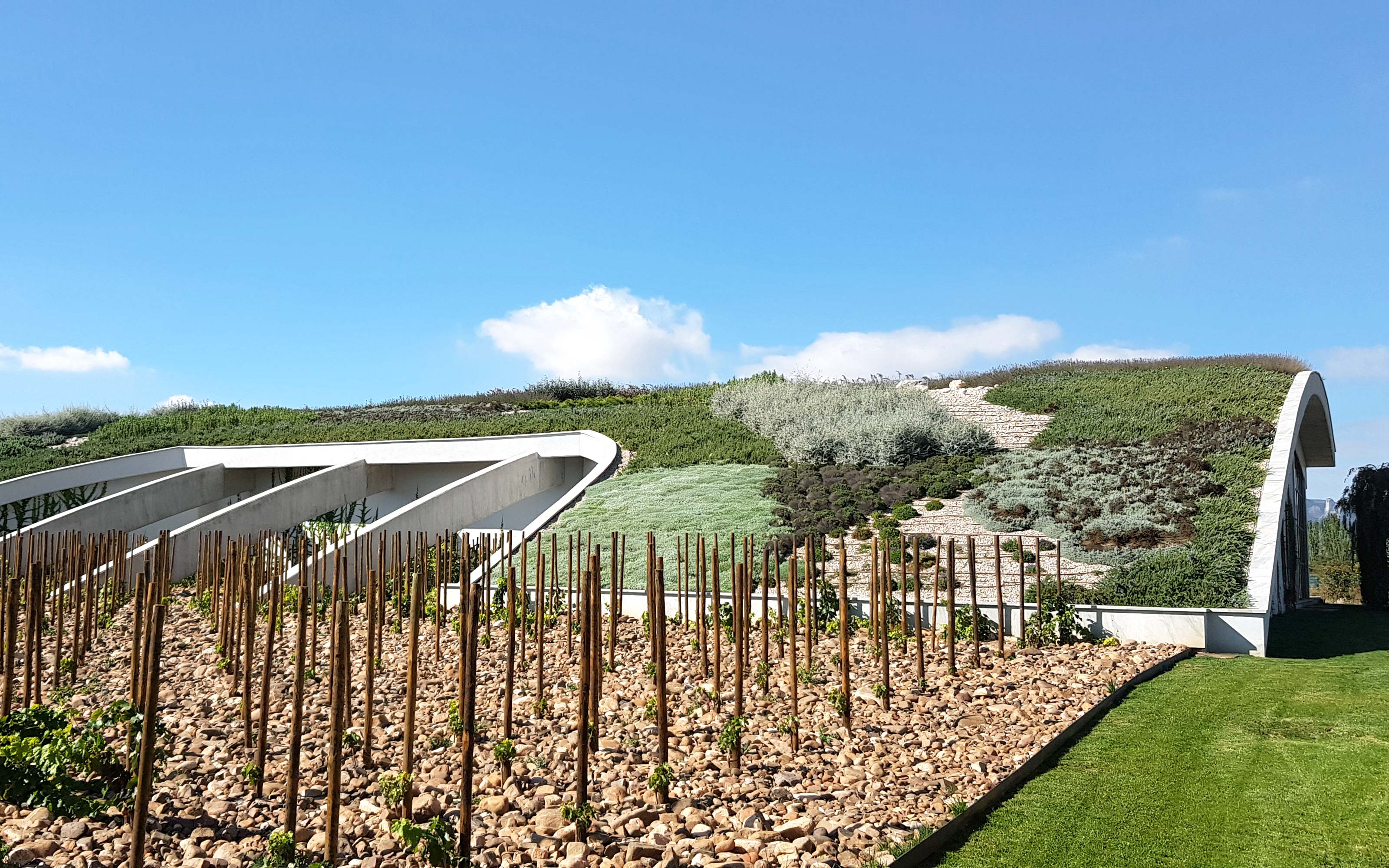 Vines in front of a pitched green roof